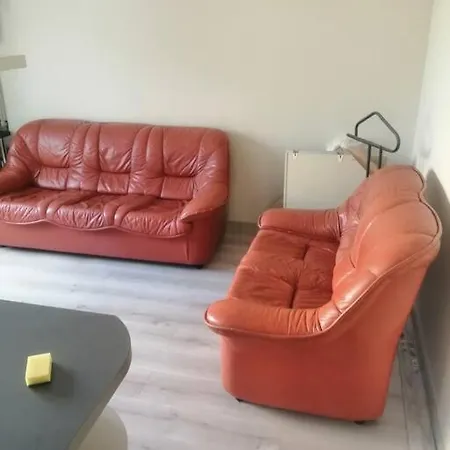 Apartment Near Certer And Castle Kaunas
