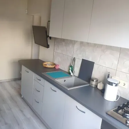 Apartment Near Certer And Castle *