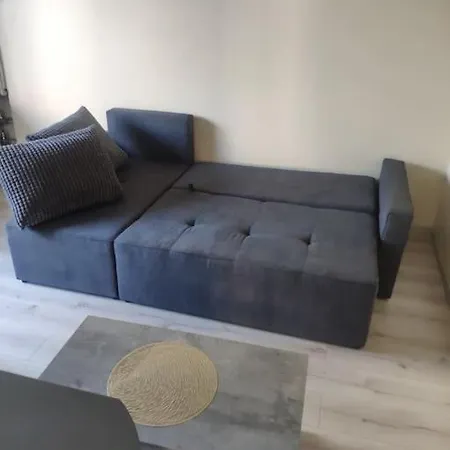Apartment Near Certer And Castle Kaunas