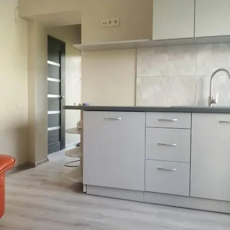 Apartment Near Certer And Castle Kaunas