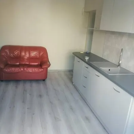 Apartment Near Certer And Castle Kaunas